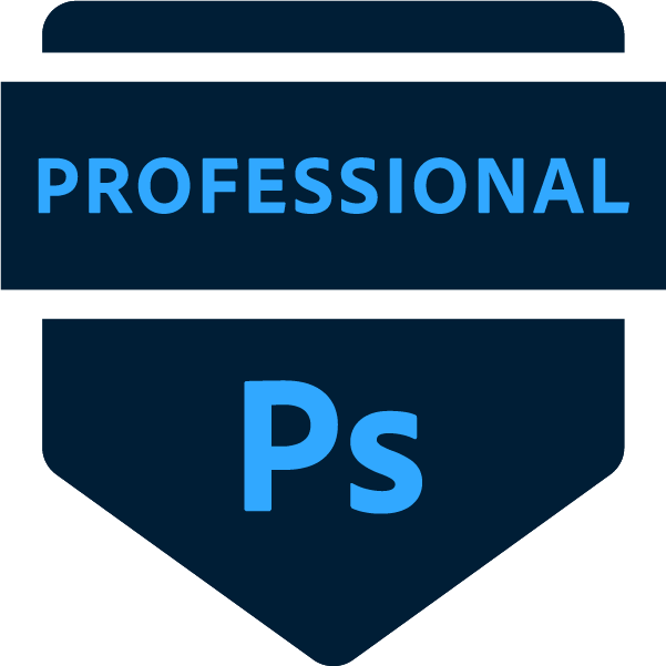 The image shows a blue badge with the text 'PROFESSIONAL' on it, followed by the letter 'P' in blue.