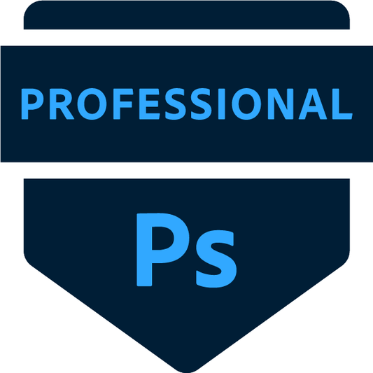 The image shows a blue badge with the text 'PROFESSIONAL' on it, followed by the letter 'P' in blue.