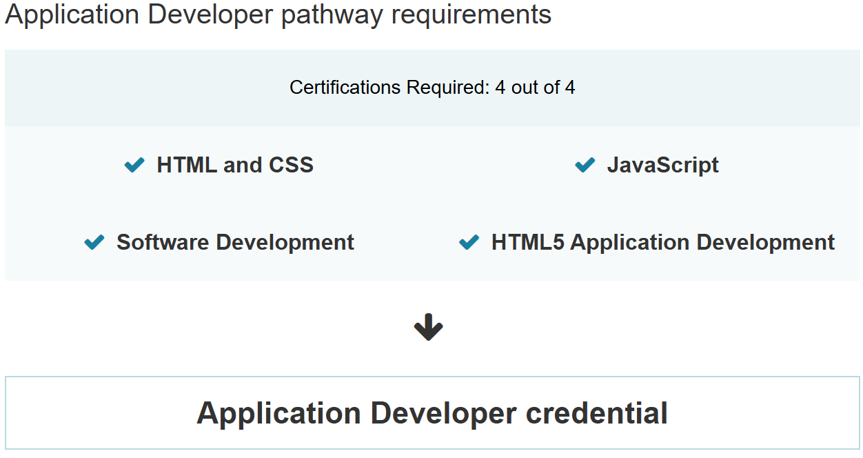 Application Developer
