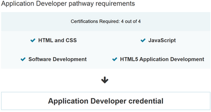 Application Developer