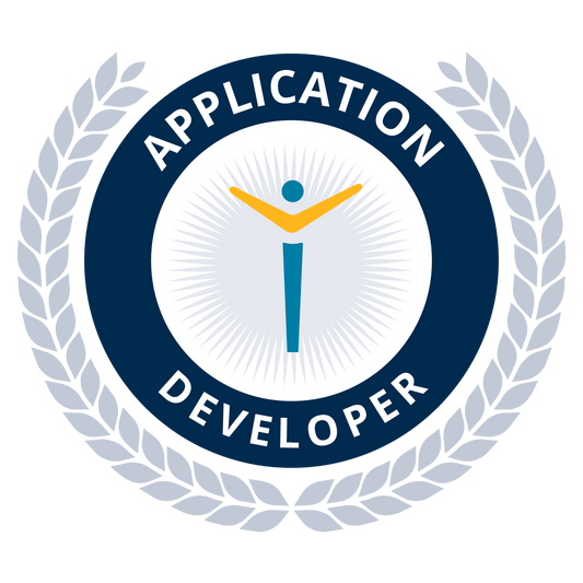 Application Developer