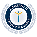 Assistant IT Project Manager