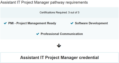 Assistant IT Project Manager