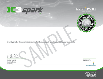 A sample certificate for the ESB (Entrepreneurship and Small Business) certification.