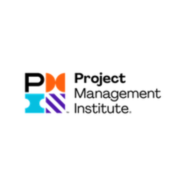Assistant IT Project Manager