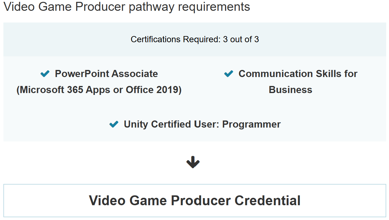 Video Game Producer