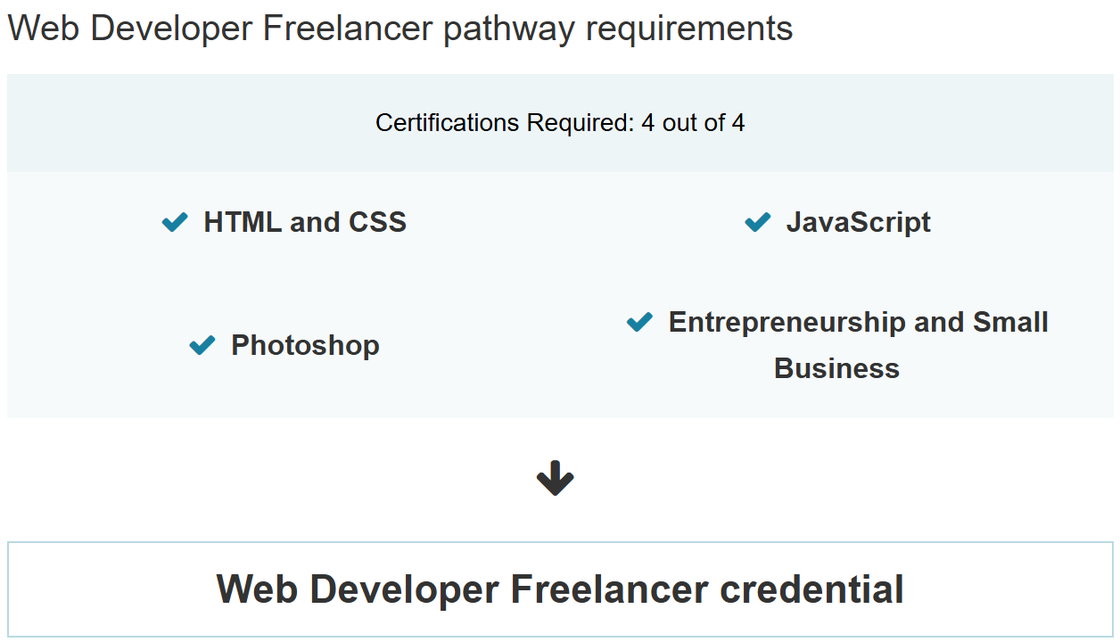 Web Developer Freelancer